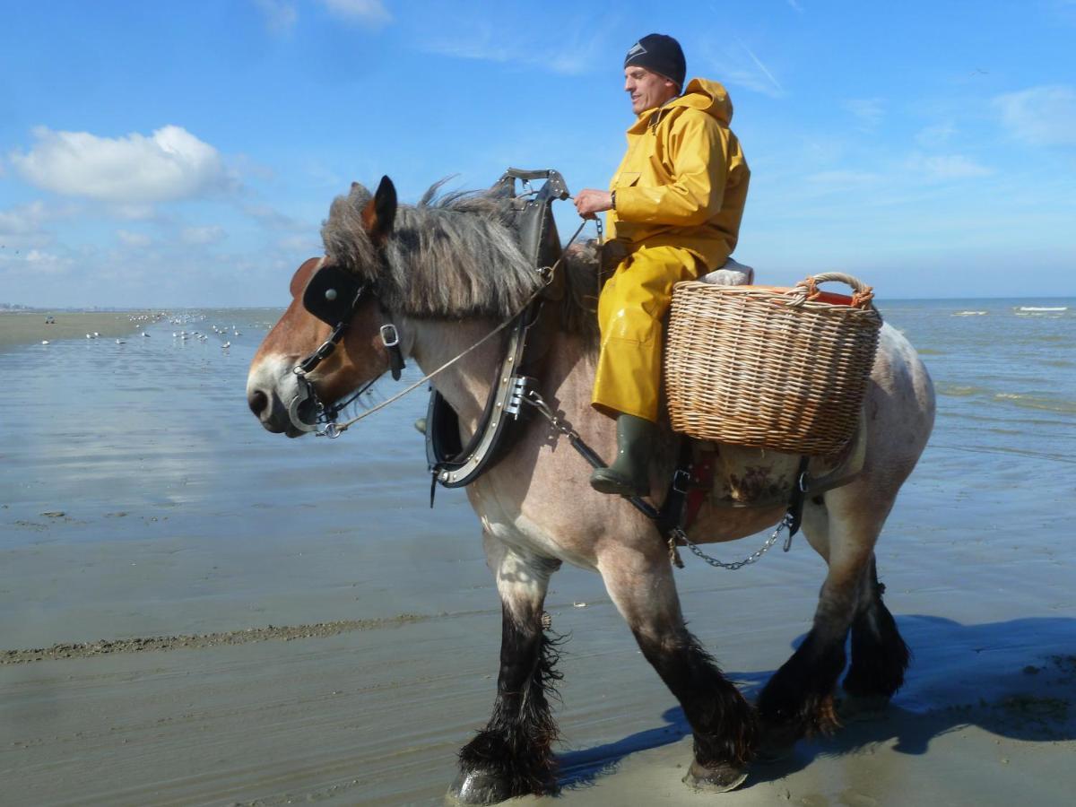 Holiday Home Garnaalhuisje Oostduinkerke Bagian luar foto